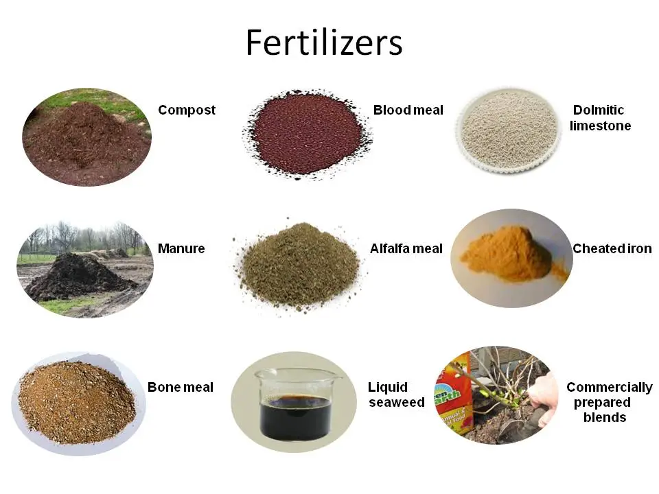 fertilizers images
